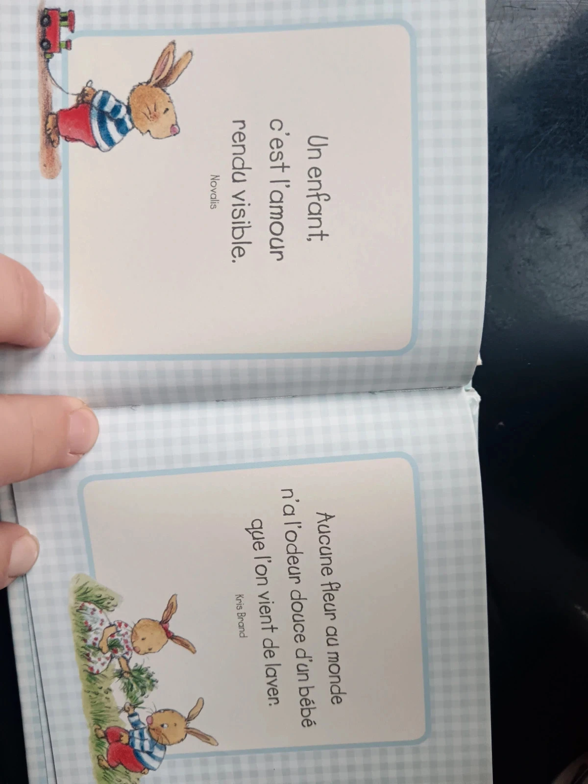 Livre cadeau naissance – photo 5